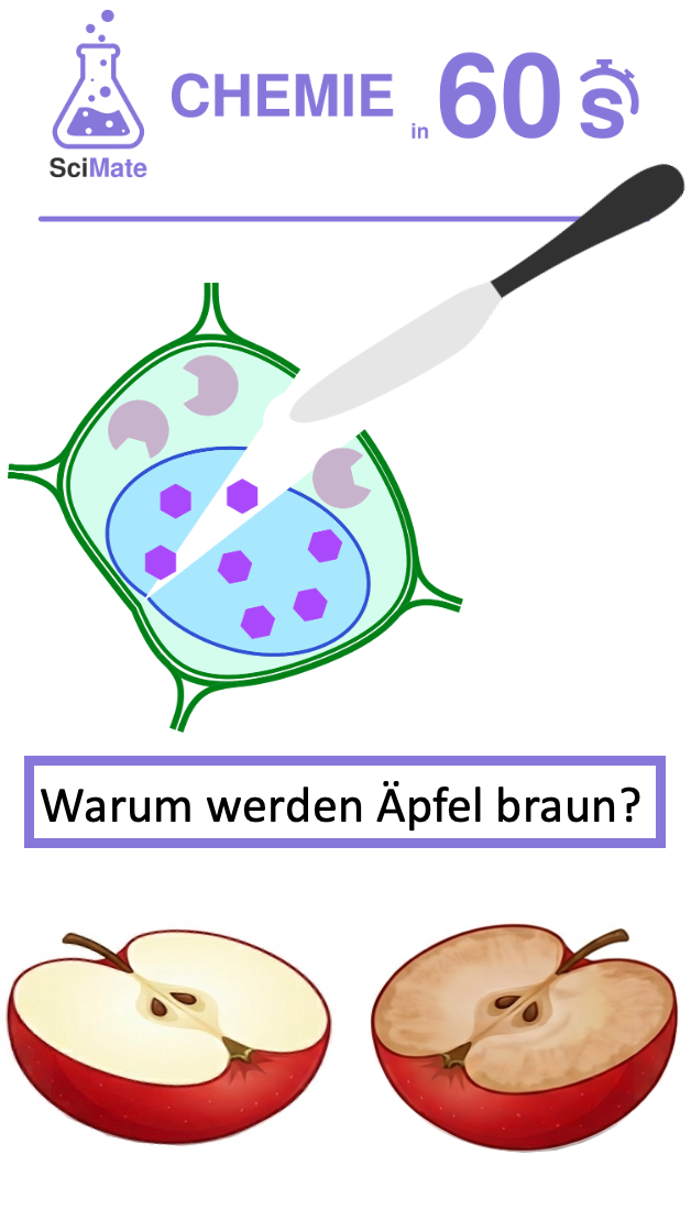 Lieber Video schauen statt lesen?